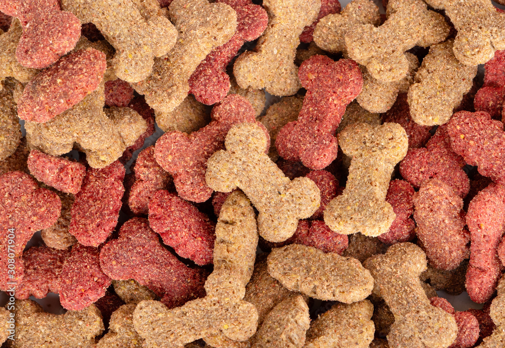 Fototapeta premium Dry dog food