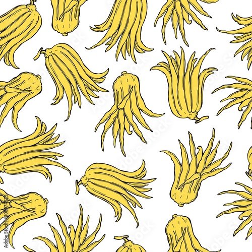 Hand drawn Citron (Buddha's hand fruit, fingered citron fruit, Citrus medica) . Vector  seamless  pattern .