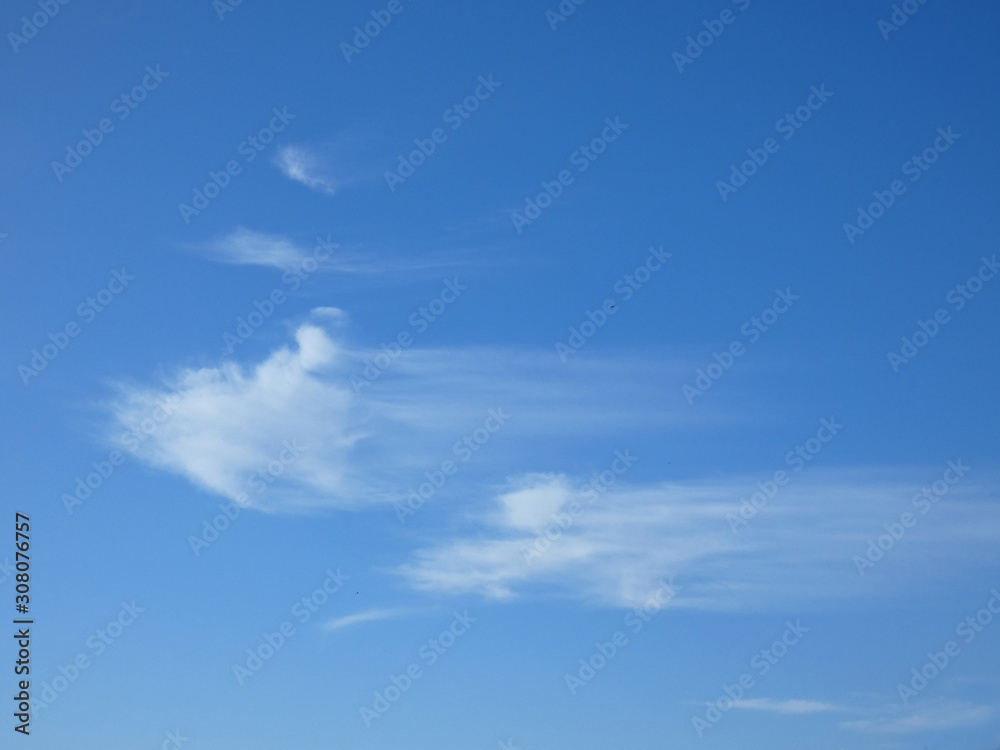 Cielo Cielo