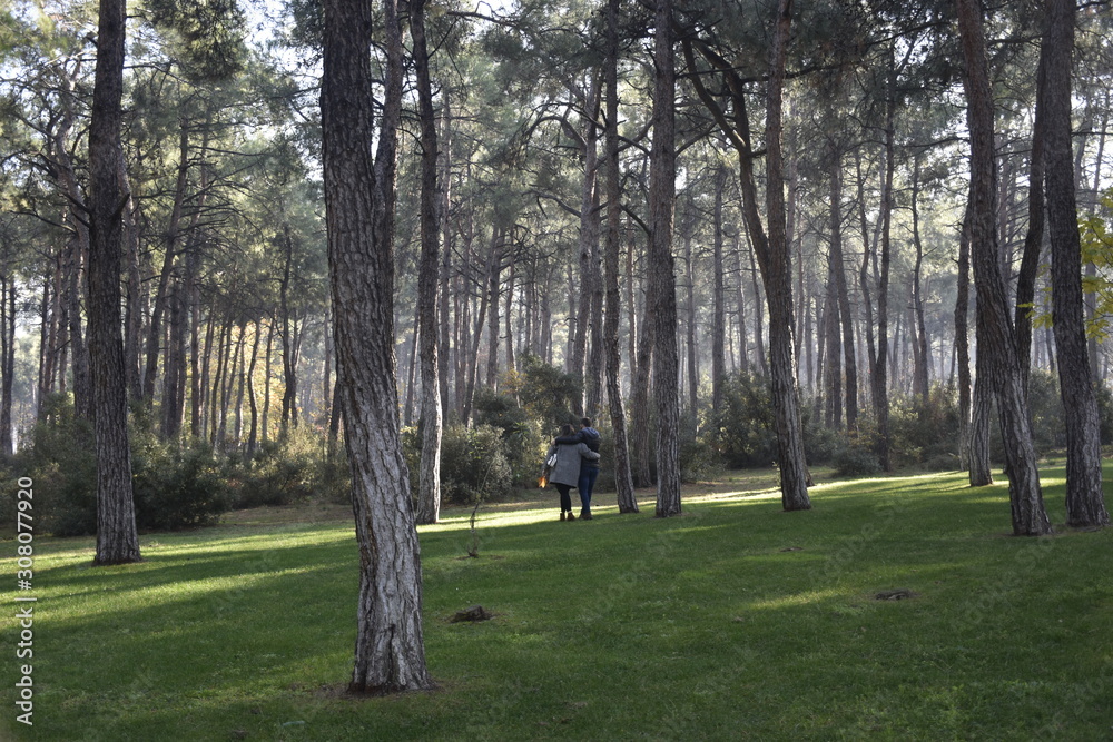 Obraz premium young couple in the forest