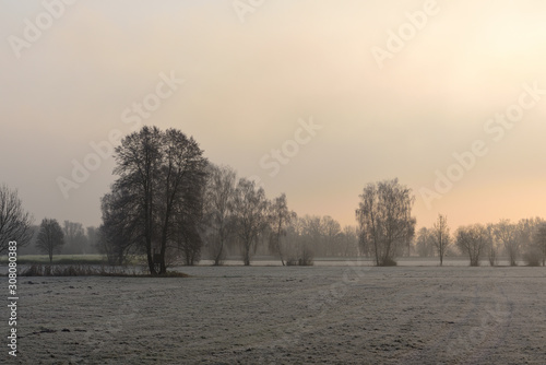 Sunrise with a light morning mist on a wide field with some frost in the winter and trees in the background in Germany