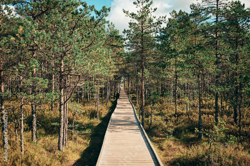 The Landscape around Viru bog, Lahemaa National Park, Estonia © Puripat