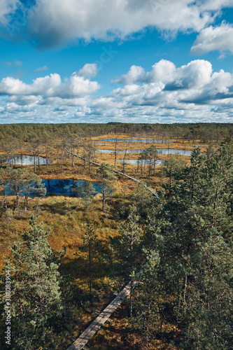 The Landscape around Viru bog  Lahemaa National Park  Estonia