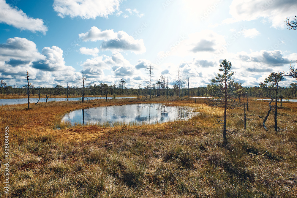 The Landscape around Viru bog, Lahemaa National Park, Estonia