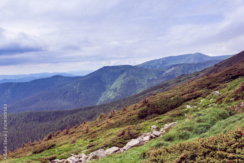 landscape of a Carpathians mountains with grass and sky
