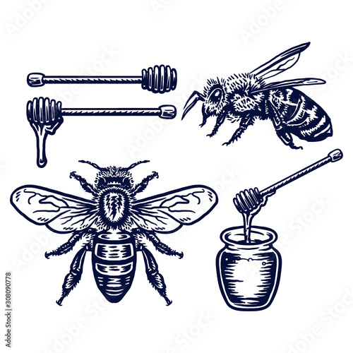 Hand drawing style with a honey bee object use simple colors