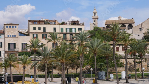 Altstadt mit Palmen