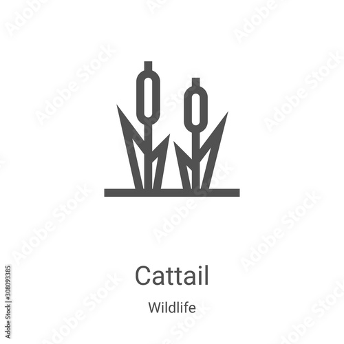 cattail icon vector from wildlife collection. Thin line cattail outline icon vector illustration. Linear symbol for use on web and mobile apps, logo, print media
