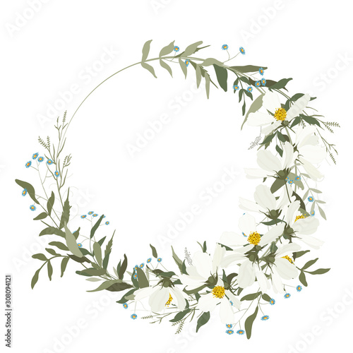 Hand drawn green eucalyptus, fern, isolated template vector illustration.