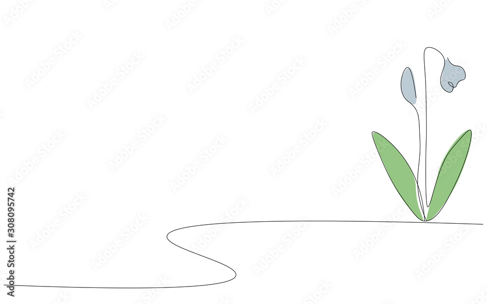 Spring flower line drawing. Vector illustration Spring flower line drawing. Vector illustration