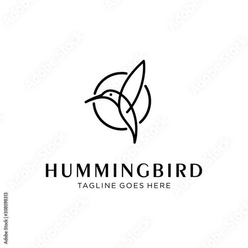 flying bird logo design template with linear concept style. vector illustration of hummingbird/colibri in outline, monoline style