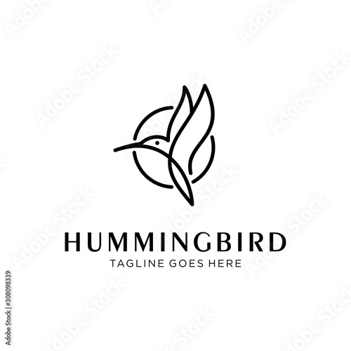 flying bird logo design template with linear concept style. vector illustration of hummingbird/colibri in outline, monoline style