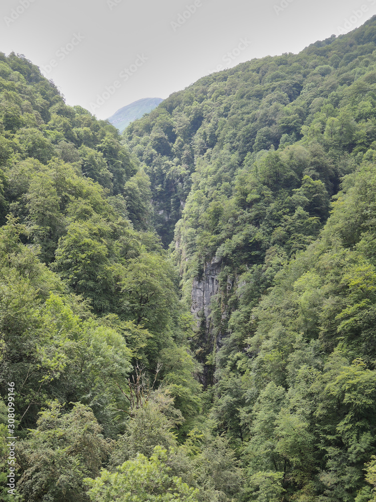 The Gorges d'Holzarte in the French Pyrenees