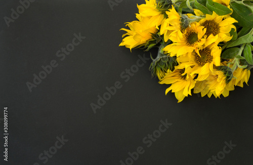 Bouquet of yellow blooming sunflowers on a black background, chalk board. There is a place for text. Flat lay on top.