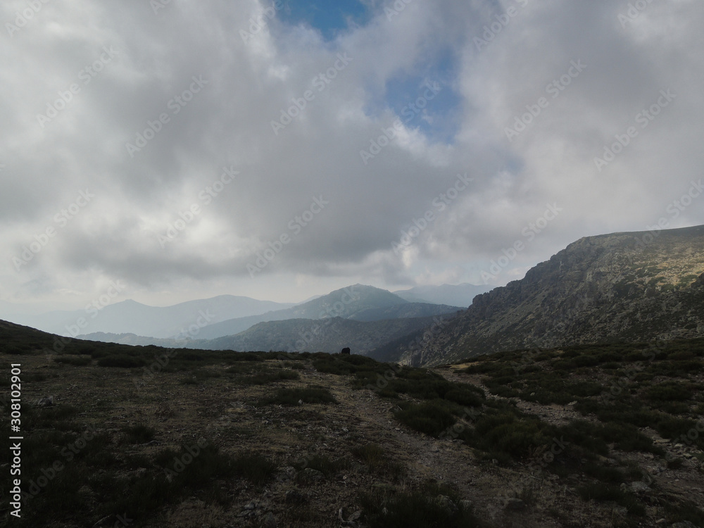 Collado del Piornal in the Sierra de Guadarrama National Park. Madrid's community. Spain Collado del Piornal in the Sierra de Guadarrama National Park. Madrid's community. Spain