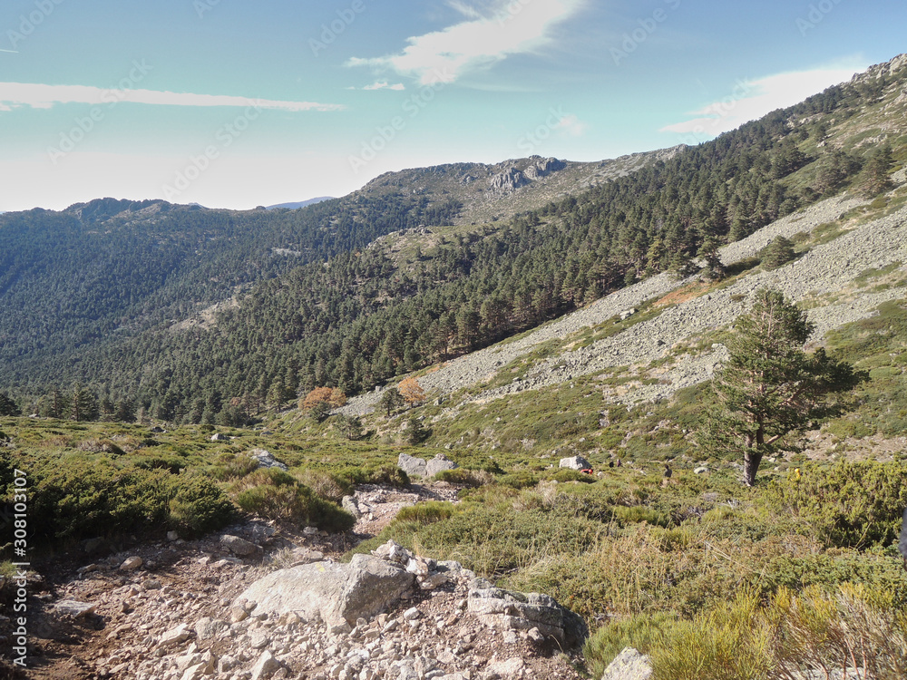 Autumn in the valley of La Barranca in the Sierra de Guadarrama National Park. Madrid's community. Spain Autumn in the valley of La Barranca in the Sierra de Guadarrama National Park. Madrid's community. Spain