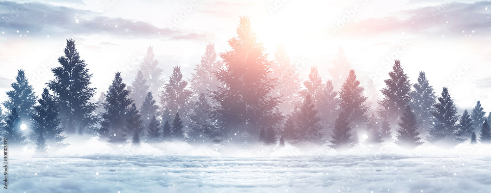 Fototapeta Zimowy abstrakcyjny krajobraz. Światło słoneczne w zimowym lesie.