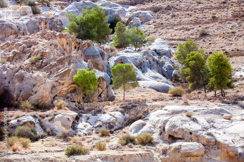 Rocks with trees and bushes around Petra valley. Jordan, Petra photo