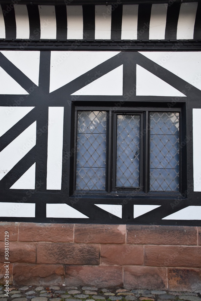 Obraz premium Tudor window