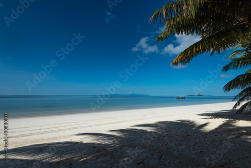 Beautiful sandy beach and calm ocean. Praslin, Seychelles