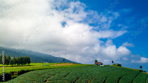 small house on the middle hill with blue sky and wonderful cloudy
