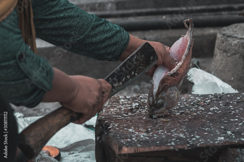 Fresh fish at the Harbor of Flores photo