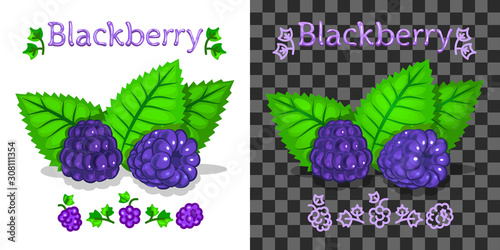 Blackberry, text and logo