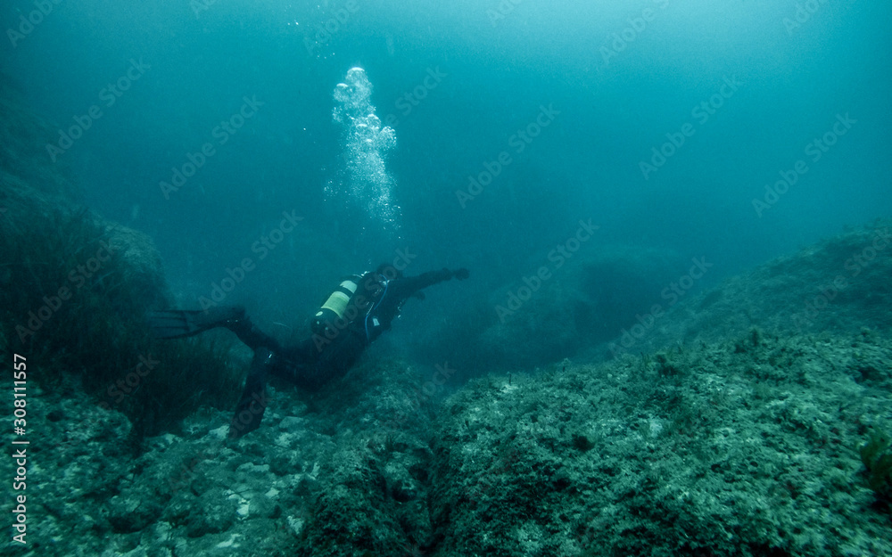 Obraz premium Scuba diver