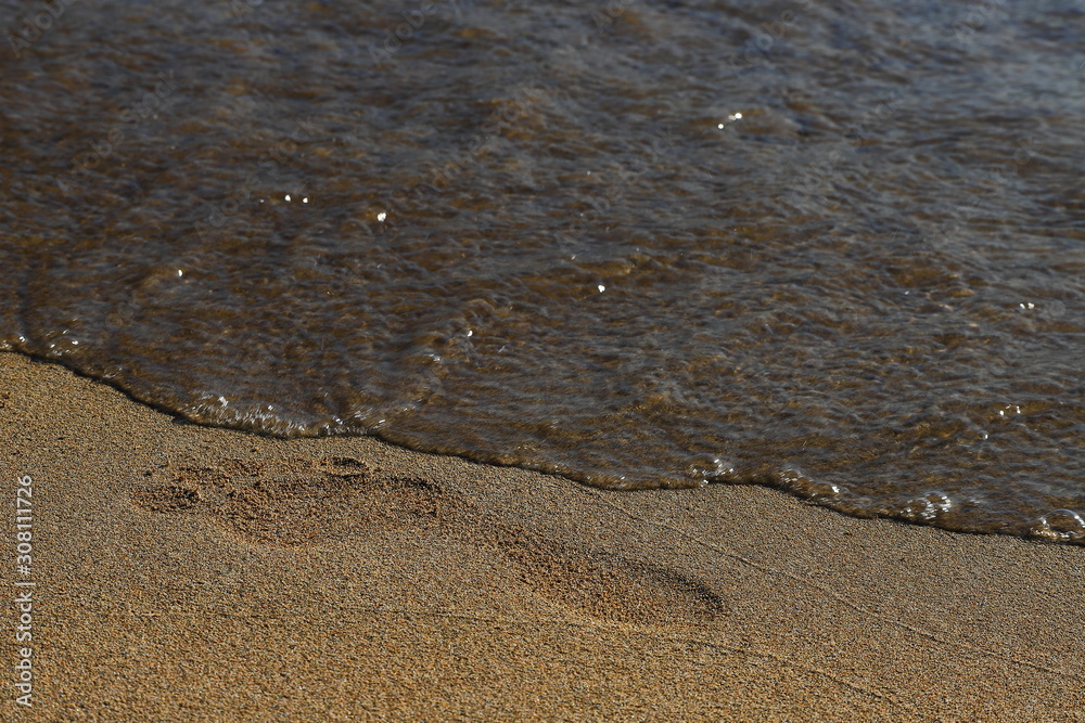 Beach, sand, barefoot footprint, water washes away trace Beach, sand, barefoot footprint, water washes away trace