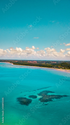 Fototapeta Naklejka Na Ścianę i Meble -  Praia Natureza Drone Coqueiros Litoral Maceió Alagoas Brasil