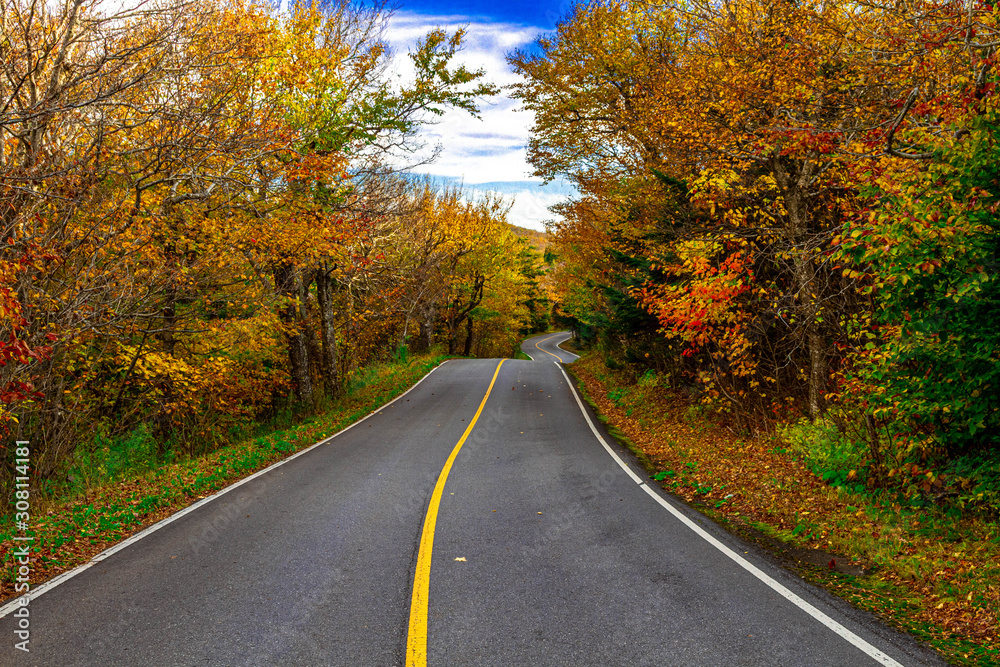 road in autumn road in autumn