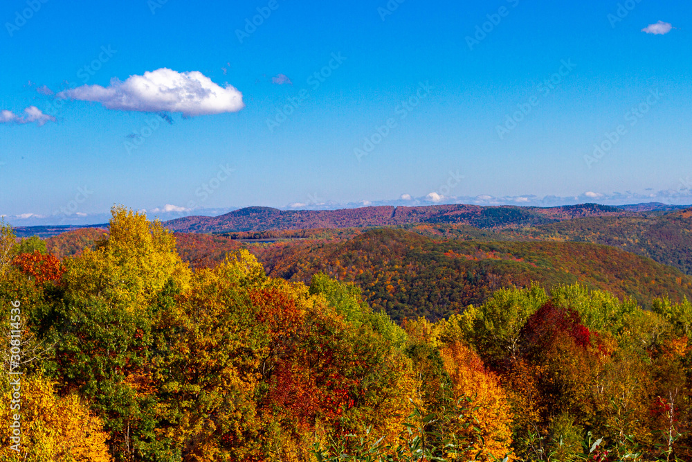autumn landscape with rape field and blue sky