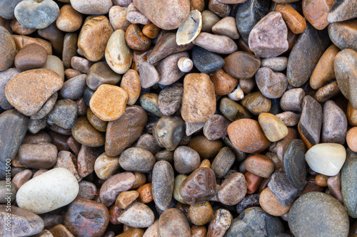 Pebble and shell textures on the beach