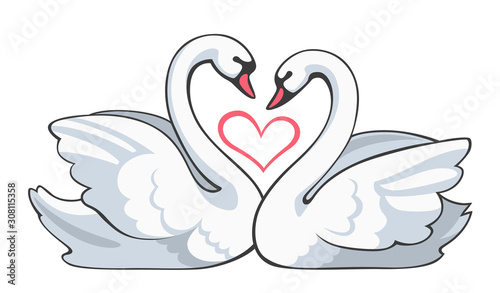Couple swan on a white background