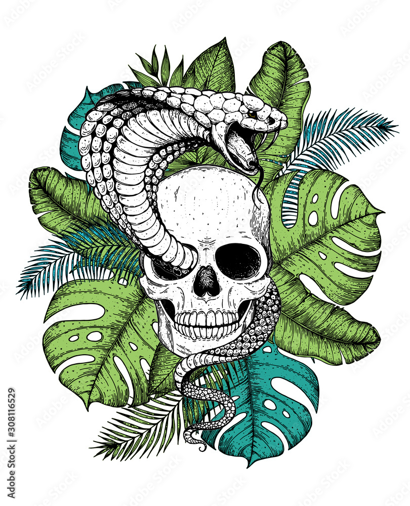 Skull, cobra snake and palm leaves hand drawn illustration. Tattoo vintage  print. Hand drawn floral print. Tattoo design. Jungle print. Tropical  illustration. Stock Vector | Adobe Stock