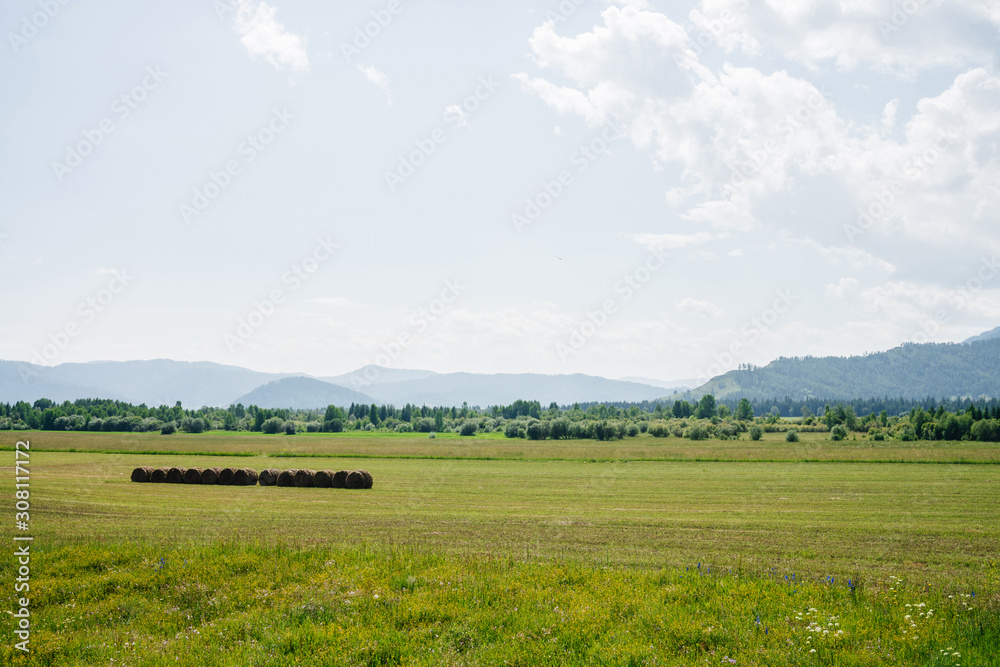 Vivid green scenery with big beautiful mowed field in sunlight. Wonderful scenic landscape with hay rolls in green field with view to mountains on distance in sunny day. Haymaking on vastness field.