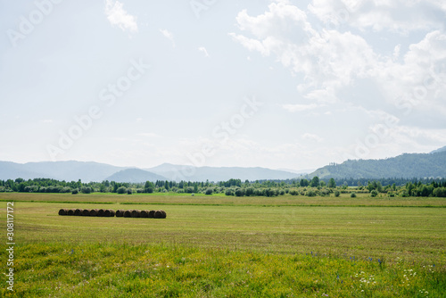 Vivid green scenery with big beautiful mowed field in sunlight. Wonderful scenic landscape with hay rolls in green field with view to mountains on distance in sunny day. Haymaking on vastness field.