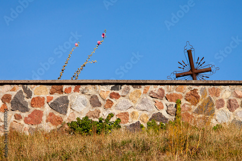 Part of stone cemetery wall. Two objects behind fence: blossoming hollyhock flower and metal cross. Life and death. photo