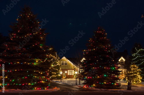 Christmas Tree light decoration
