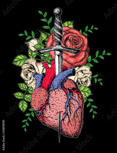 The human heart and roses is pierced with a dagger. Hand drawn vector illustration. Colorful illustration . Tattoo print.