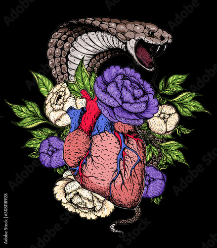 Heart, cobra snake and flower hand drawn. Vintage vector illustration. Anatomical heart. Isolated colorful heart illustration. Tattoo print