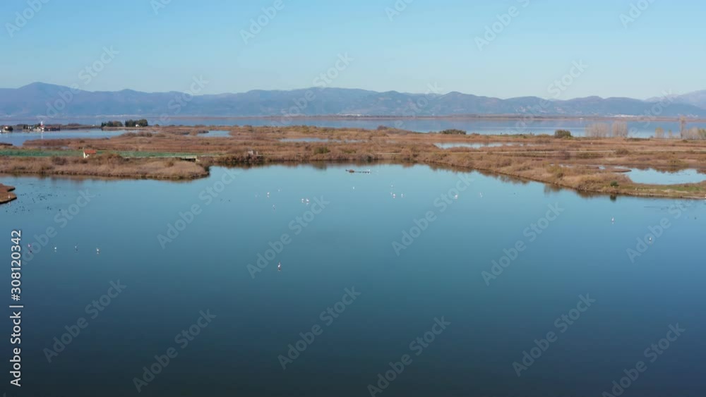 Aerial view of scenic lake with wild birds, flamingos, pelecans, wild ducks. Aerial view of scenic lake with wild birds, flamingos, pelecans, wild ducks.