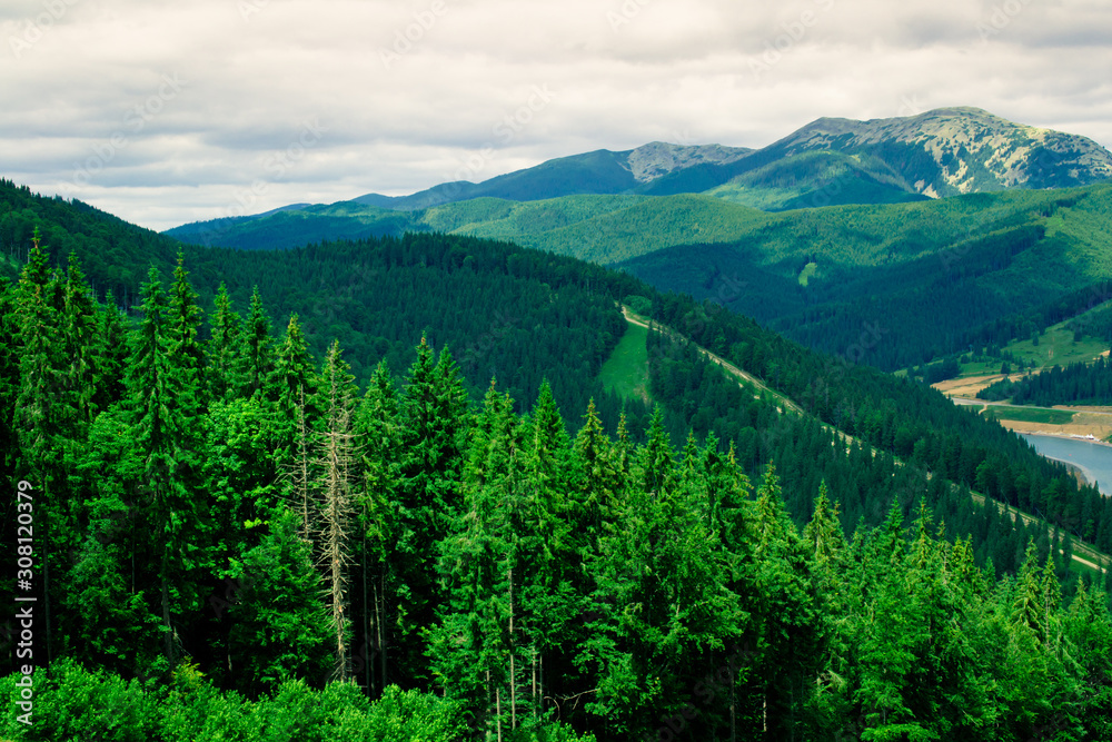 Panorama of the Carpathian Mountains	