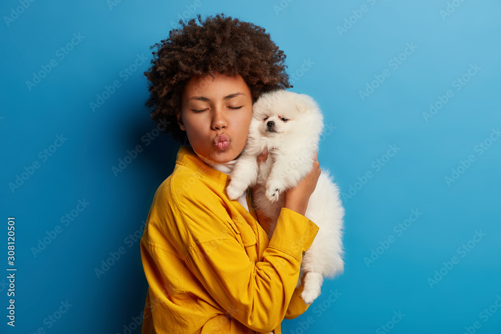 Shot of pleased dark skinned lady spends leisure time with Pomeranian spitz, has eyes shut, lips rounded, enjoys playing with fluffy pet indoor models indoor. Little domestic animal in hostess hands