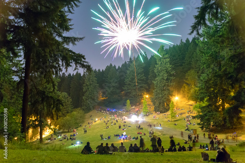 Many people watching fireworks explode in the air.