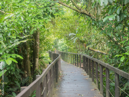 Boardwalk trough the jungle at cahuita national reserve in Costa Rica photo