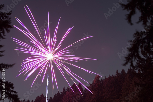 fireworks show. New Year s  July 4th celebrating independence day.