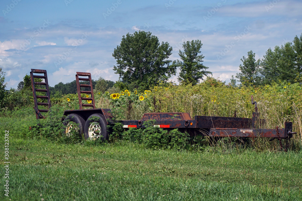 Obraz premium Old piece of farm equipment in front of a dwindling field of sunflowers