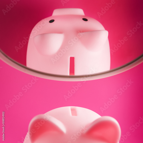 Piggy pig pink in mirror reflection on solid background with hard light, minimal style