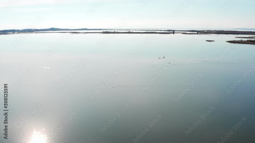 Aerial view of scenic lake with wild birds, flamingos, pelecans, wild ducks. Aerial view of scenic lake with wild birds, flamingos, pelecans, wild ducks.